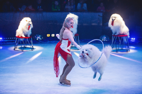Цирк на льду Айсберг