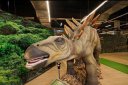 Интерактивная выставка "Вторжение динозавров" (с 11:00 до 20:00, ежедневно)
