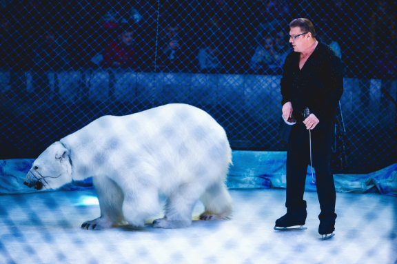 Цирк на льду Айсберг